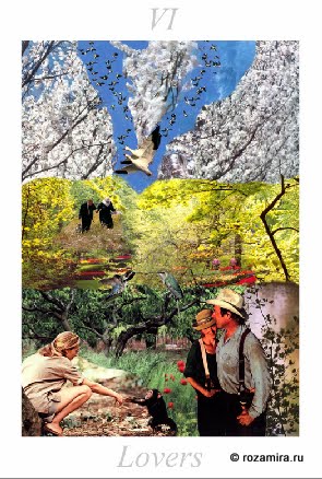 Nature Tarot by Jan Strube